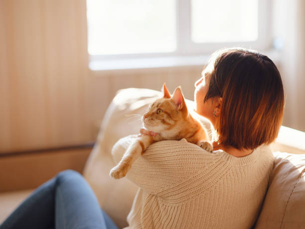 istock woman resting with cat on sofa at home 1369789827