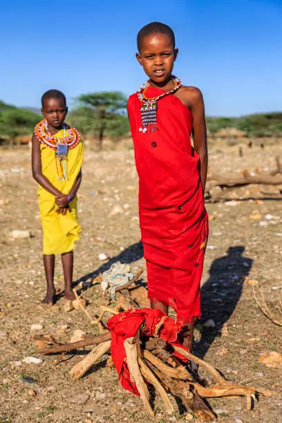 Two African little girls from Samburu tribe, carrying brushwood on savanna. Samburu tribe is one of the biggest tribes of north-central Kenya, and they are related to the Maasai.