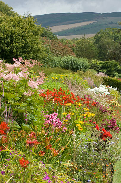 istock Flower bed in scotland 136979168
