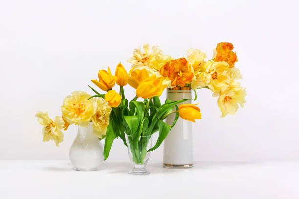 istock Three vases with yellow tulips on a table on a white background. 1369792129