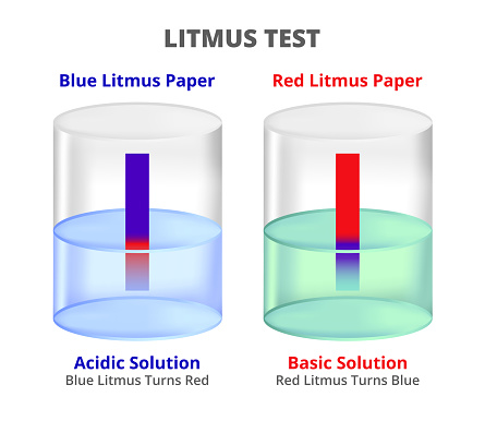 Vector illustration of Litmus pH paper indicators in chemical container isolated on a white background. Litmus test – blue and red litmus paper. In acidic solution, blue litmus turns red. In basic solution, red litmus turns blue.