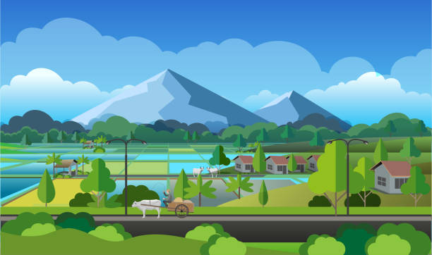 Rural atmosphere. Vector illustration, village atmosphere with views of rice fields and mountains in the distance. hometown stock illustrations