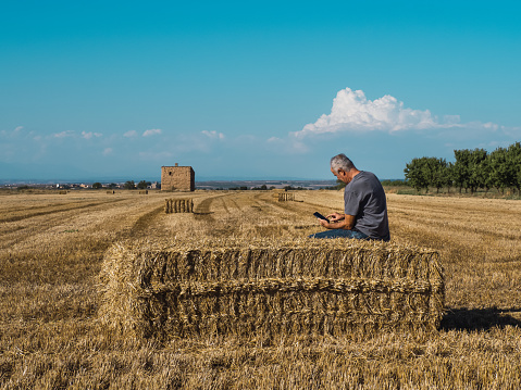 Senior farmer sitting on straw bale looking at mobile phone in field. Agriculture concept.