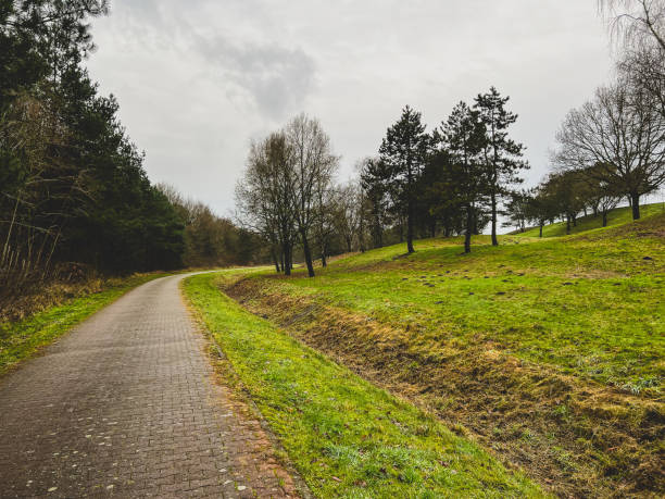 istock A path next to a forest and a meadow in winter in rainy weather. 1369798371