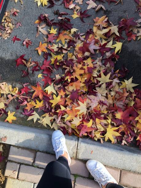 istock Autumn leaves with woman's legs 1369800673