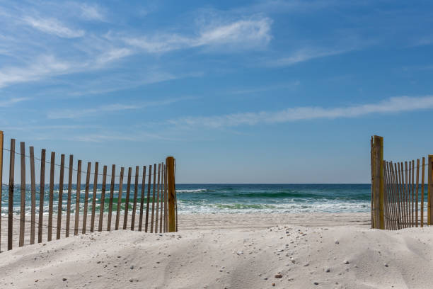 istock Gap in Fence Leading to Beach 1369800795