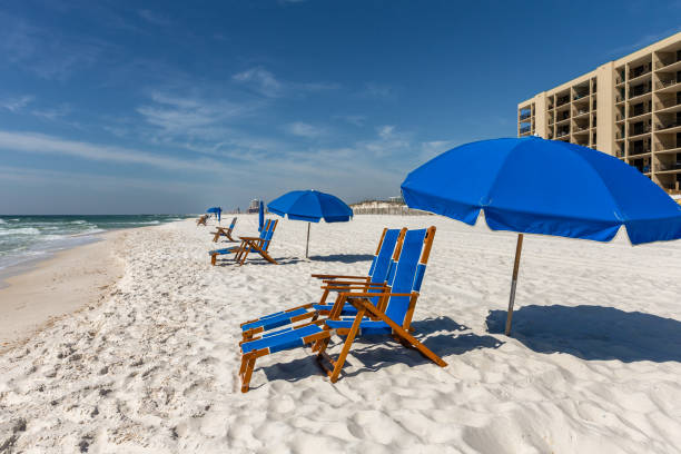 istock Beach Chairs and Umbrellas 1369800807