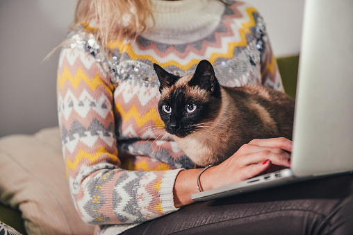 Girl sitting on sofa with her Siamese cat