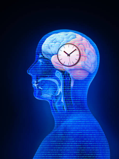 The circadian rhythms are controlled by circadian clocks or biological clock these clocks tell our brain when to sleep, tell our gut when to digest and control our activity in several day. 3d render, illustration los ritmos circadianos están controlados por relojes circadianos o reloj biológico estos relojes le dicen a nuestro cerebro cuándo dormir, le dicen a nuestro intestino cuándo digerir y controlan nuestra actividad en varios días. renderizado 3d