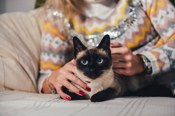 istock Young woman with her Siamese cat 1369803413