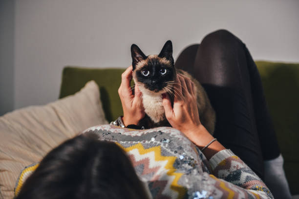 istock Young woman with her Siamese cat 1369803420