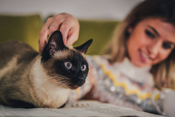 istock Young woman with her Siamese cat 1369803440