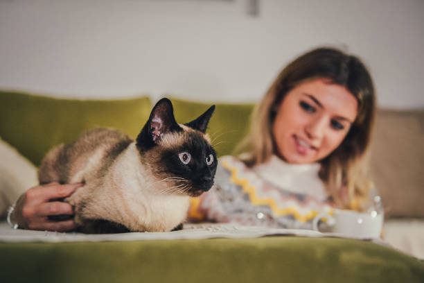 istock Young woman with her Siamese cat 1369803446