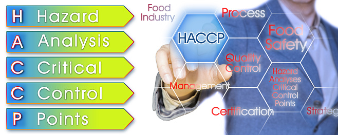 HACCP (Hazard Analyses and Critical Control Points) - Food Safety and Quality Control in food industry concept with business manager pointing to icons against a digital display.