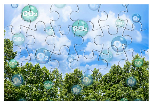 istock Tree canopy against a sky background with oxygen O2 and carbon dioxide CO2 molecules - Carbon dioxide absorption and oxygen release concept in jigsaw puzzle shape 1369805313