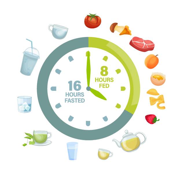 Intermittent fasting symbol. Personal diet plan concept. Intermittent fasting icon. Personal diet plan concept. Help your body burn fat. Specific time eating. World's most popular health trend. Editable vector illustration isolated on a white background. atkins diet stock illustrations