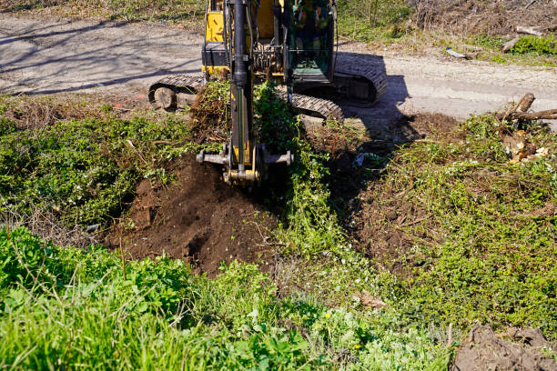 istock On the construction site new building area live on the Saale 1369806801