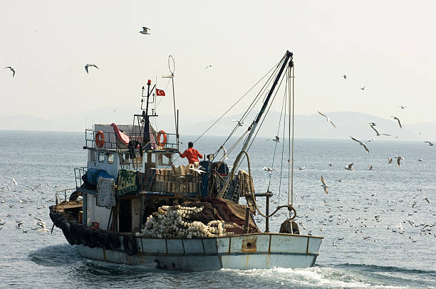 Pesca en bote - foto de stock