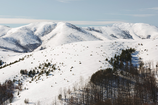 Mountain Zlatibor, Serbia at winter. Beautiful landscape in winter, a snow covered mountain on the sunny winter day. Selective focus