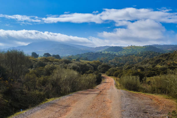istock Rural road leading to the mountain range. Spain 1369810875