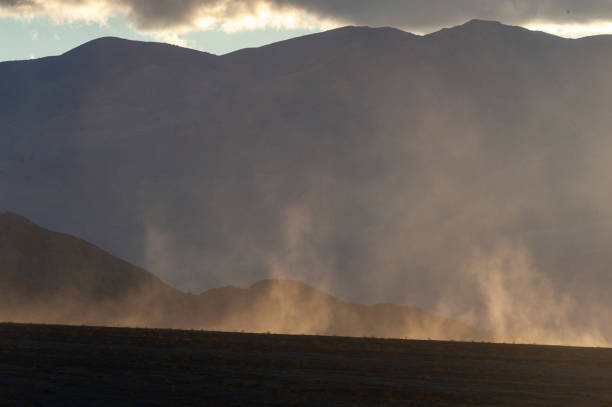 dust storm in death valley - mesquite tree imagens e fotografias de stock