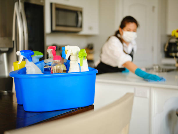 Professional Housecleaner at Work A professional housecleaner at work cleaning a home. maid stock pictures, royalty-free photos & images