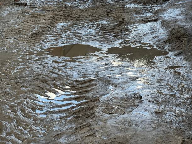 istock Mud and puddles on the road, natural pattern. Gray ground soil mud background. 1369817304