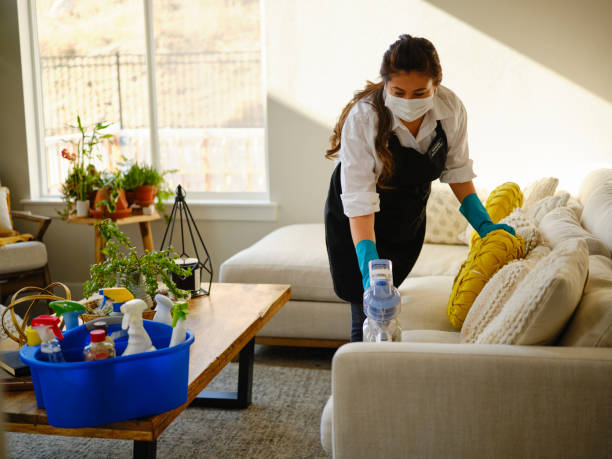 Professional Housecleaner at Work stock photo