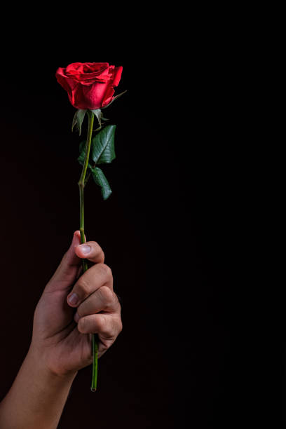 istock Red roses . Saint Valentine. Copy space, Background. 1369818817