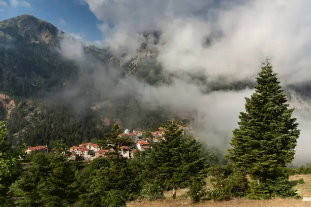 Mountain landscape. View of the mountains, the village of Fidakya, pine forest in the morning, foggy day (central Greece, Karpenisi region)