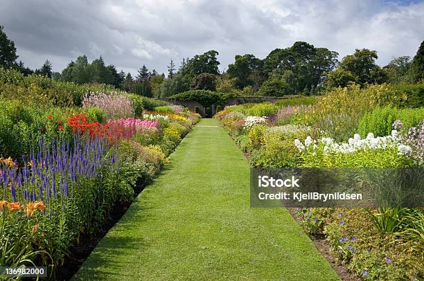 Canteiro De Flores No Jardim Público - Fotografias de stock e mais imagens de Ajardinado - Ajardinado, Ao Ar Livre, Arbusto