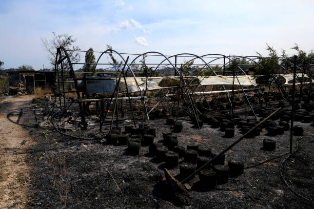 istock View of burnt greenhouse after a wildfire 1369822903