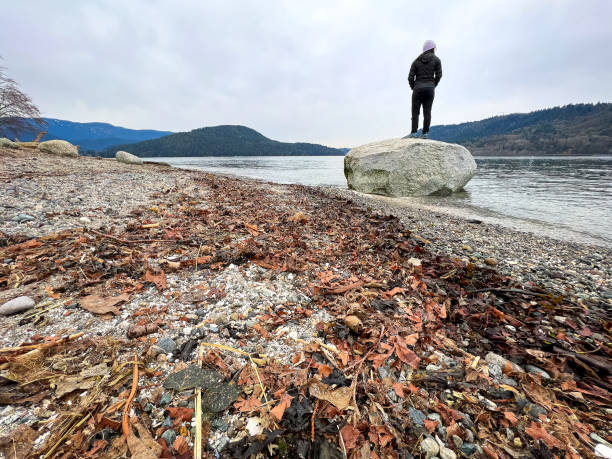 solo junge asiatische frau, die auf view am winter beach blickt - wildnisgebiets name stock-fotos und bilder