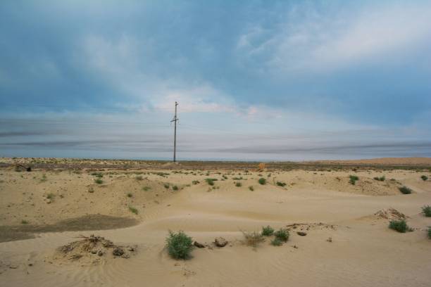 istock Nature of the desert 1369828379