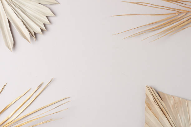 istock Tropical natural background with palm leaf on grey. Flat lay, copy space 1369829467