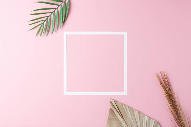 istock Minimal composition with white frame and palm leaf on pink background. Flat lay, copy space 1369829473