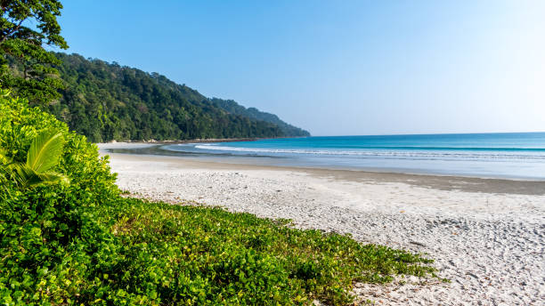 istock Radhanagar Beach, Swaraj Dweep 1369829693