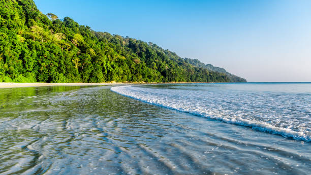 istock Radhanagar Beach, Swaraj Dweep 1369829710