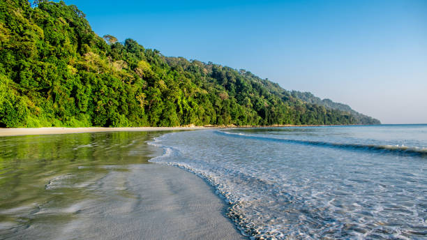 istock Radhanagar Beach, Swaraj Dweep 1369829757