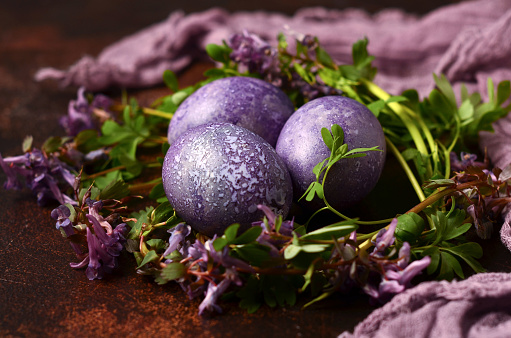 Beautiful Easter background is dark with purple eggs and flowers.