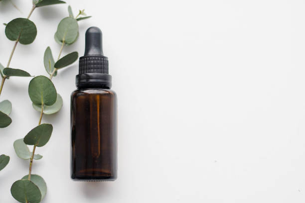 istock Mockup image of glass dropper bottle with eucalyptus essential oil and eucalyptus tree branch. Natural cosmetics, facial anti-aging oil. Copy space. 1369836073