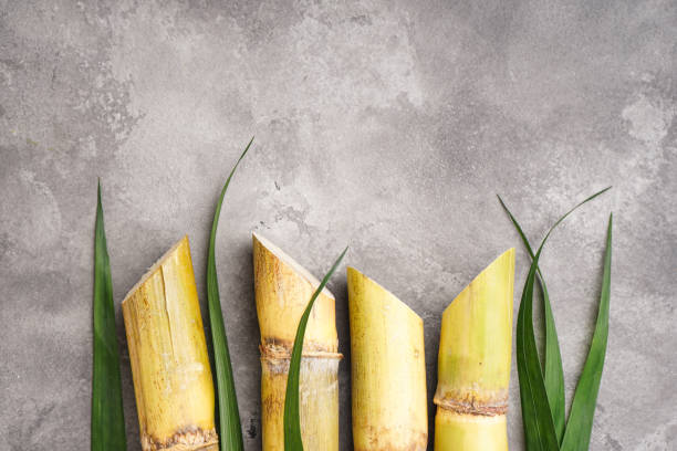 Sugarcane and green leaf on a gray background, space for text. Flat lay. stock photo