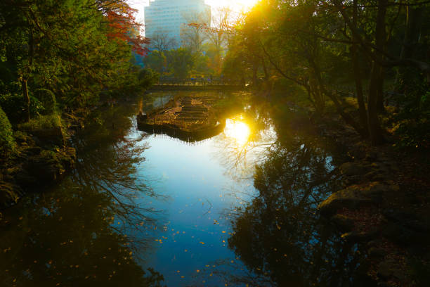 Autumn leaves and Arisugawa park. Shooting Location: Tokyo metropolitan area
