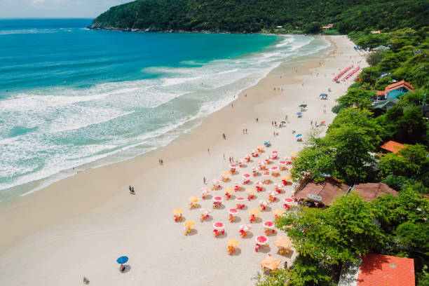 Matadeiro beach with umbrellas and blue ocean. Aerial view Matadeiro beach with umbrellas and blue ocean. Aerial view santa catarina brazil stock pictures, royalty-free photos & images
