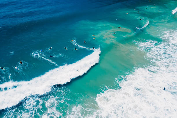 surfeurs sur planche de surf et vagues dans l’océan. vue aérienne - campeche photos et images de collection