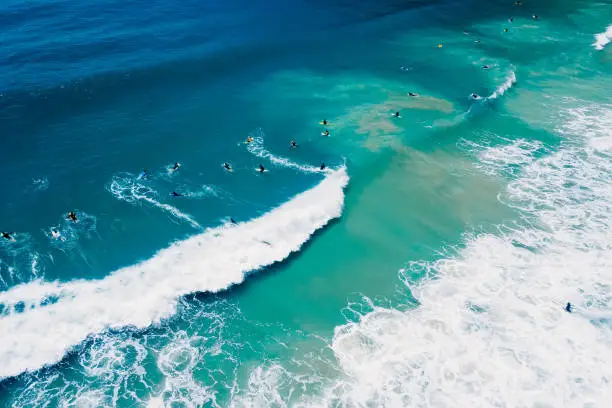 Surfers on surfboard and waves in ocean. Aerial view