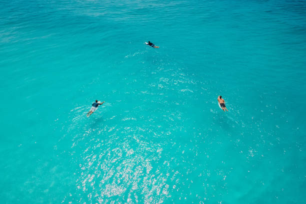 istock Surfers on surfboards in blue ocean waiting wave. Aerial view 1369846684