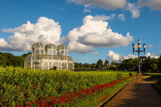 クリチバ、ブラジル - 植物園公共公園 - curitiba ストックフォトと画像