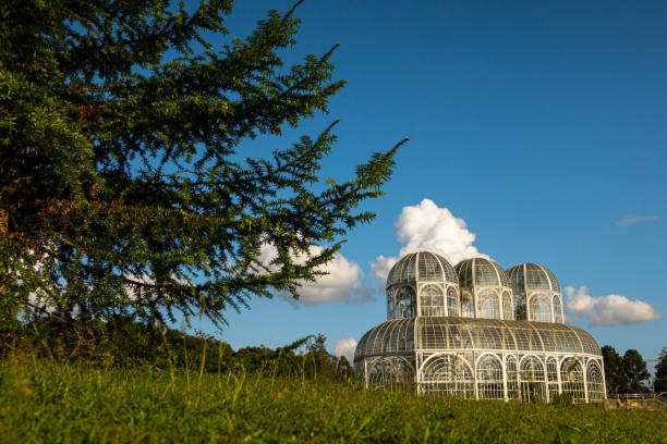 istock Curitiba, Brazil - Botanical Garden Public Park 1369846914