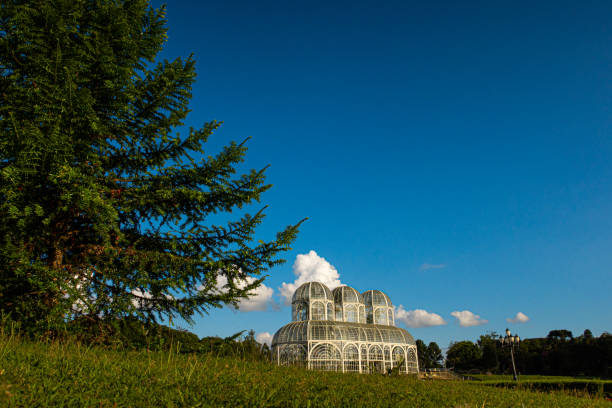 istock Curitiba, Brazil - Botanical Garden Public Park 1369846948